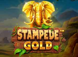 Обзор слота для онлайн-казино Stampede Gold