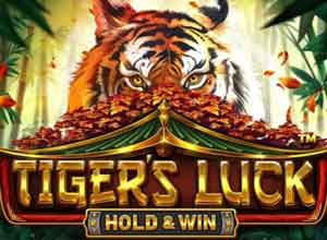 Tiger’s Luck