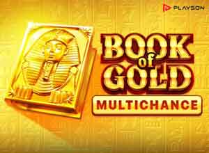 Обзор слота для онлайн-казино Book of Gold Multichance