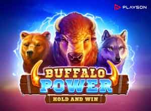 Buffalo Power