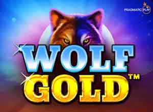 Обзор слота для онлайн-казино Wolf Gold